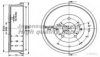 ASHUKI 1020-6101 Brake Drum